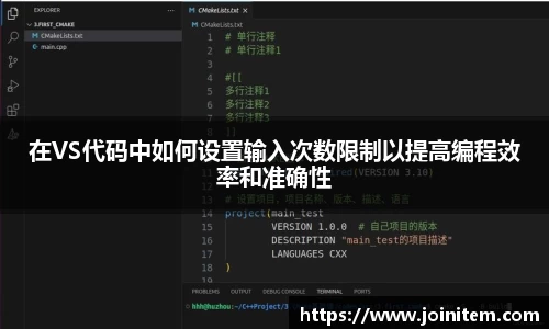 在VS代码中如何设置输入次数限制以提高编程效率和准确性